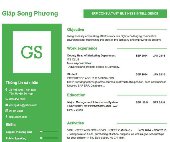 Mẫu CV ERP CONSULTANT, BUSINESS INTELLIGENCE