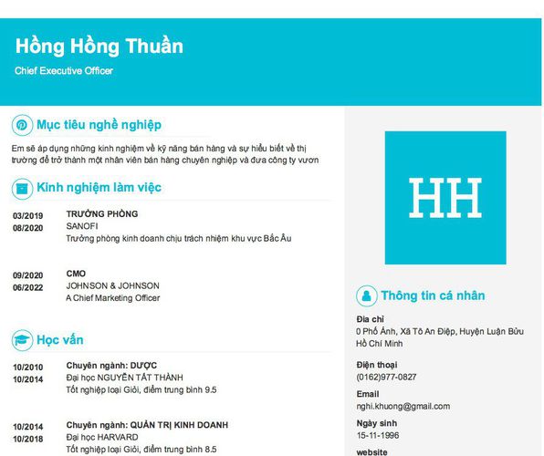 Mẫu CV Chief Executive Officer