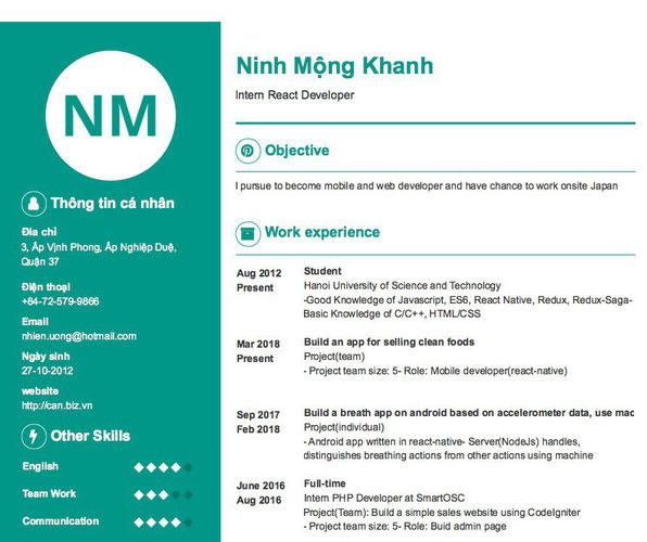 Mẫu CV Intern React Developer