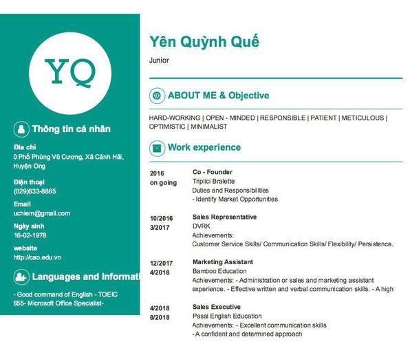 Mẫu CV Junior