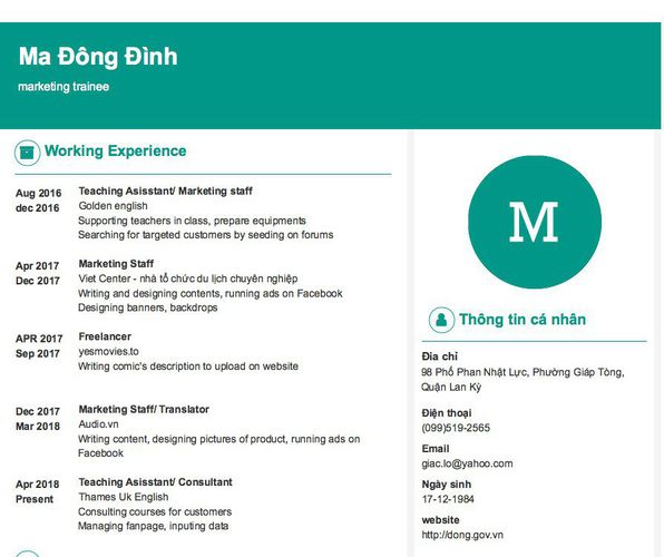 Mẫu CV marketing trainee