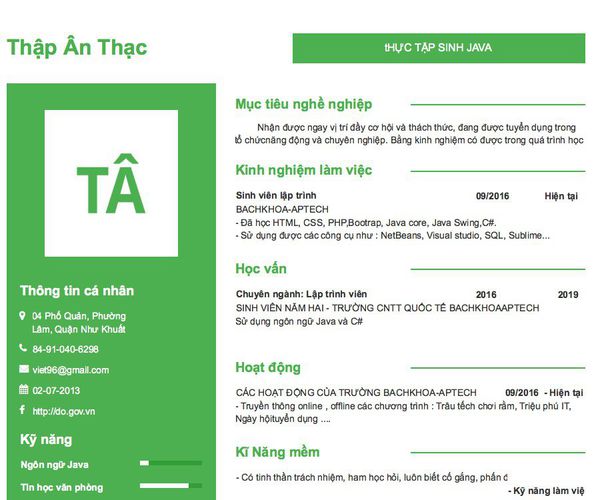 Mẫu CV tHỰC TẬP SINH JAVA