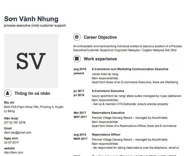 Mẫu CV process executive (viet)-customer support