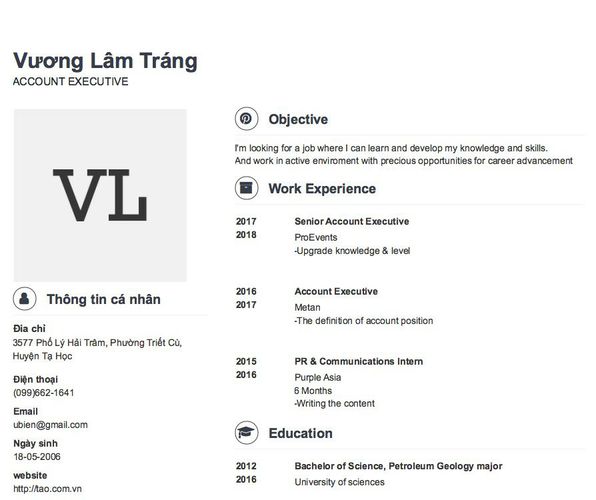 Mẫu CV ACCOUNT EXECUTIVE