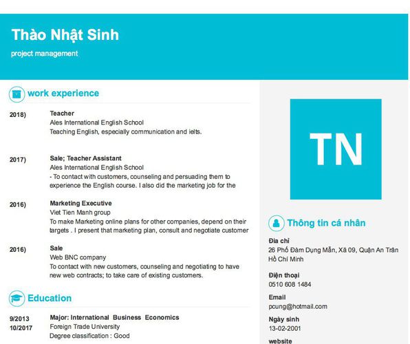 Mẫu CV project management