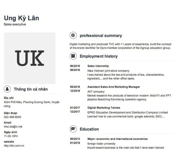 Mẫu CV Sales executive