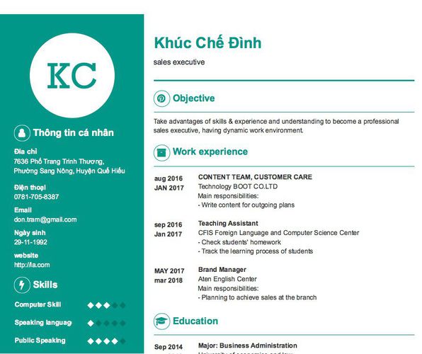 Mẫu CV sales executive