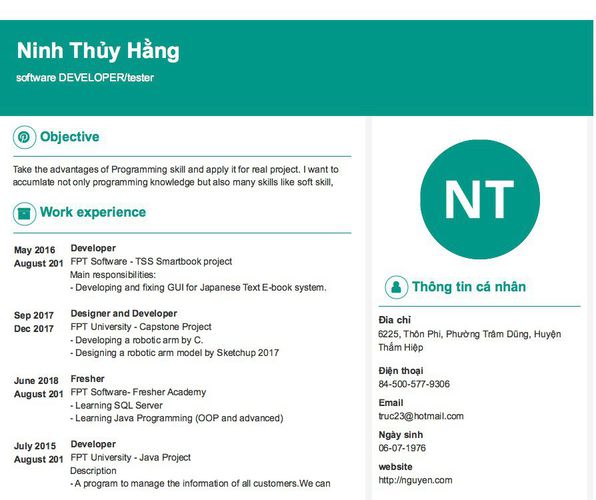 Mẫu CV software DEVELOPER/tester