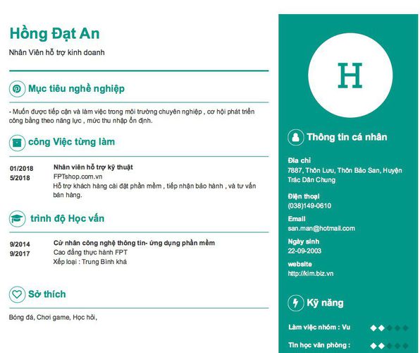 Mẫu CV Nhân Viên hỗ trợ kinh doanh