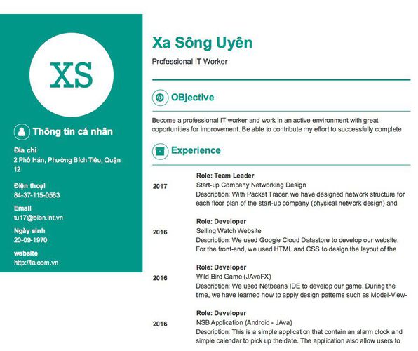 Mẫu CV Professional IT Worker
