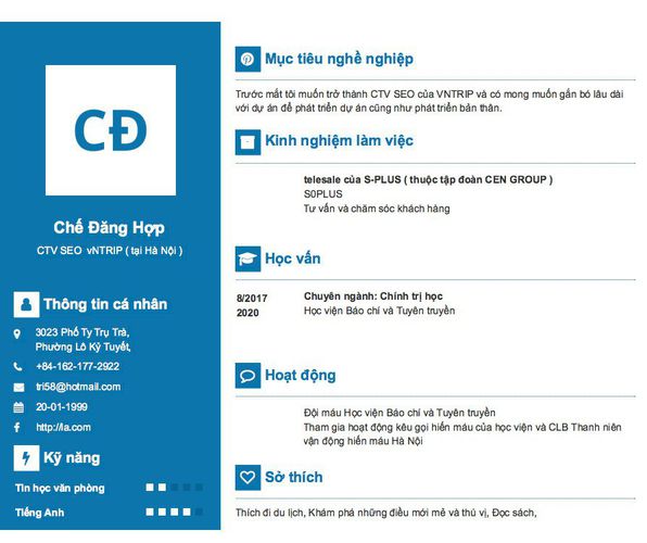 Mẫu CV CTV SEO  vNTRIP ( tại Hà Nội )