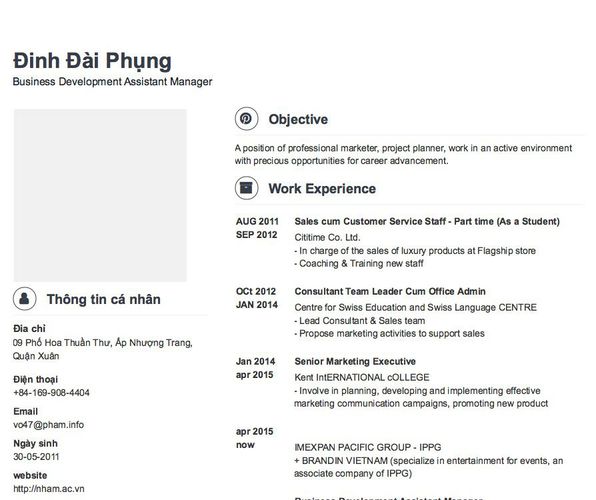 Mẫu CV Business Development Assistant Manager