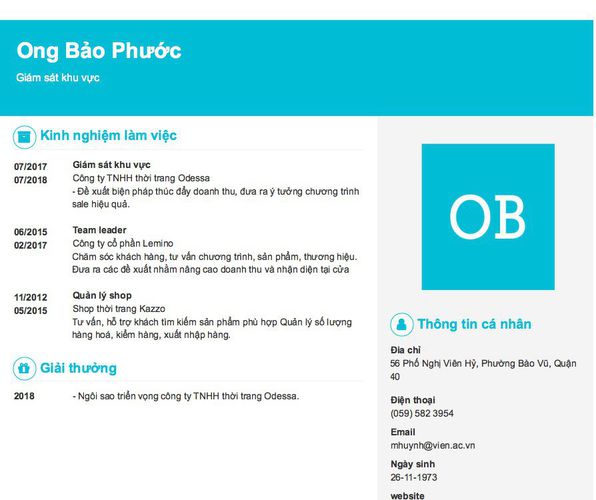 Mẫu CV Giám sát khu vực