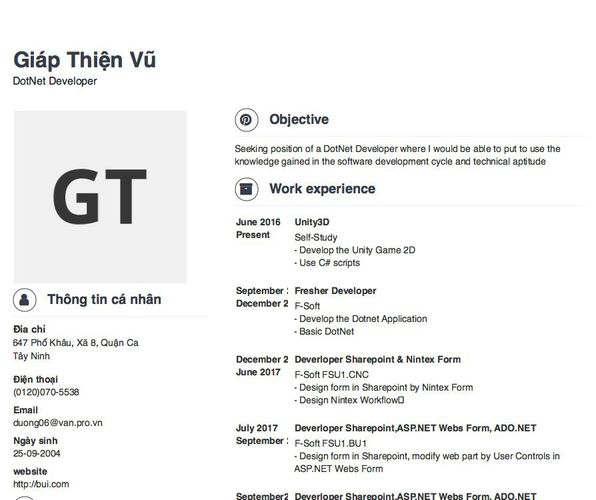 Mẫu CV DotNet Developer