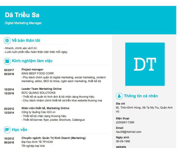 Mẫu CV Digital Marketing Manager