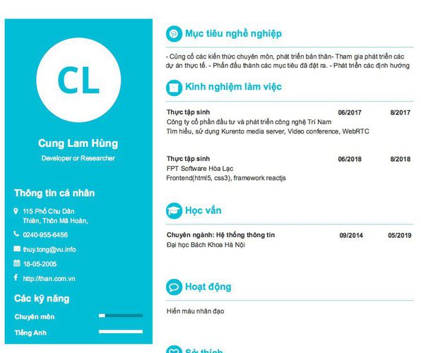 Mẫu CV Developer or Researcher