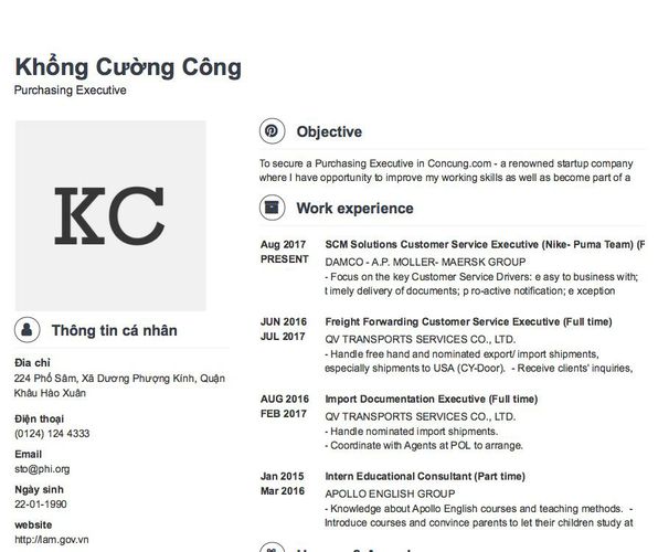Mẫu CV Purchasing Executive