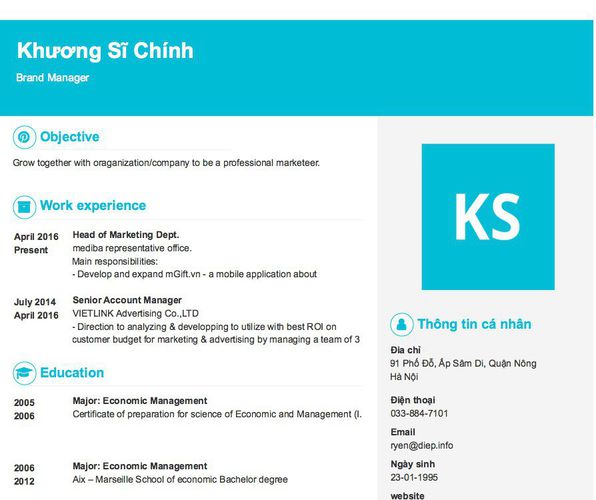 Mẫu CV Brand Manager