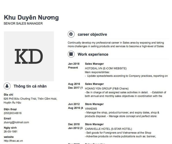 Mẫu CV SENIOR SALES MANAGER