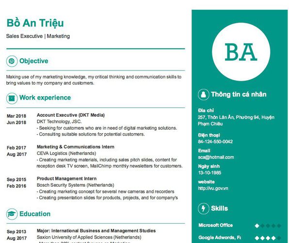 Mẫu CV Sales Executive | Marketing