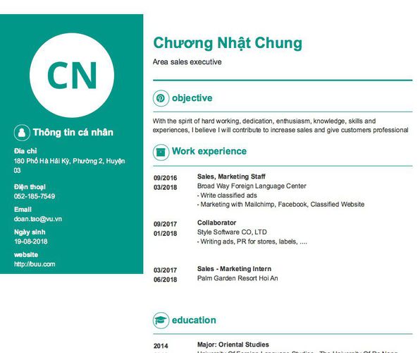 Mẫu CV Area sales executive