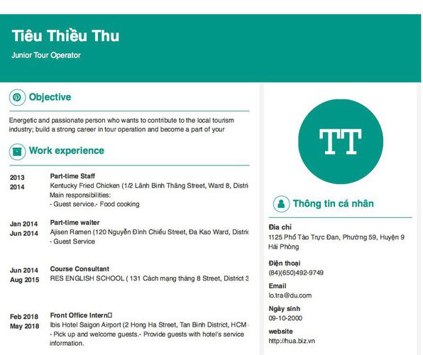Mẫu CV Junior Tour Operator