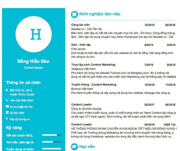 Mẫu CV Content leader