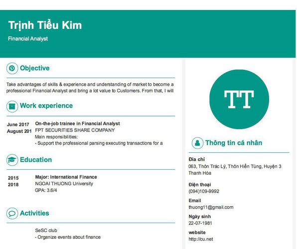 Mẫu CV Financial Analyst