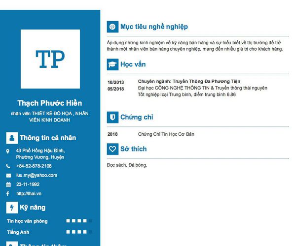 Mẫu CV nhân viên THIẾT KẾ ĐỒ HỌA , NHÂN VIÊN KINH DOANH