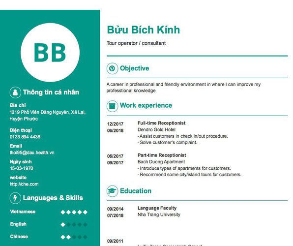 Mẫu CV Tour operator / consultant