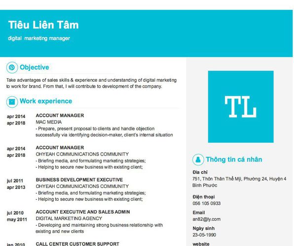 Mẫu CV digital  marketing manager