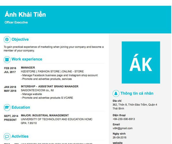 Mẫu CV Officer Executive