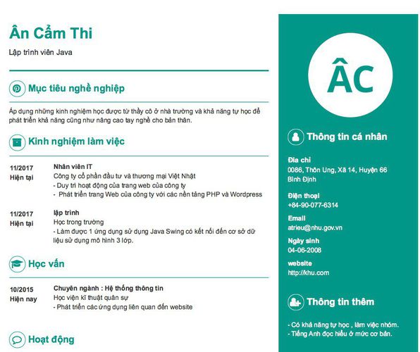 Mẫu CV Lập trình viên Java