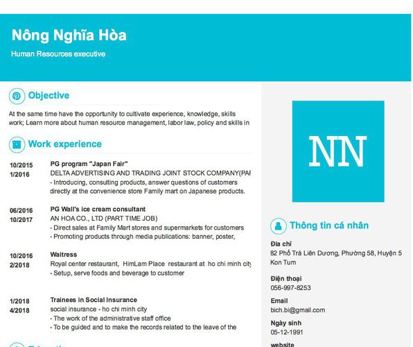 Mẫu CV Human Resources executive