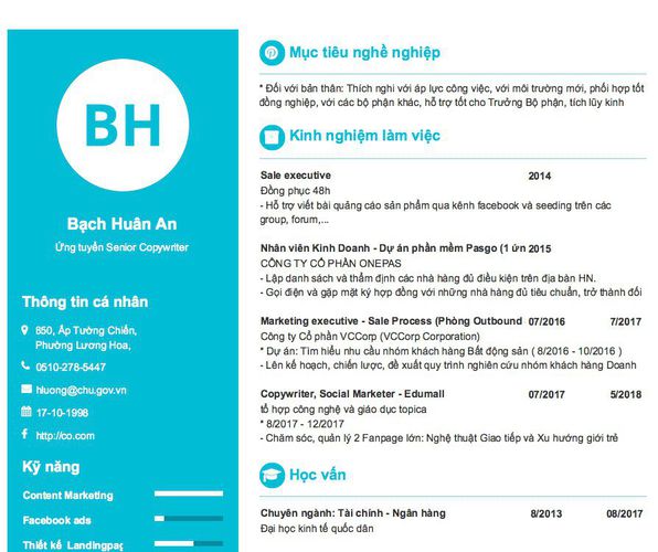 Mẫu CV Ứng tuyển Senior Copywriter