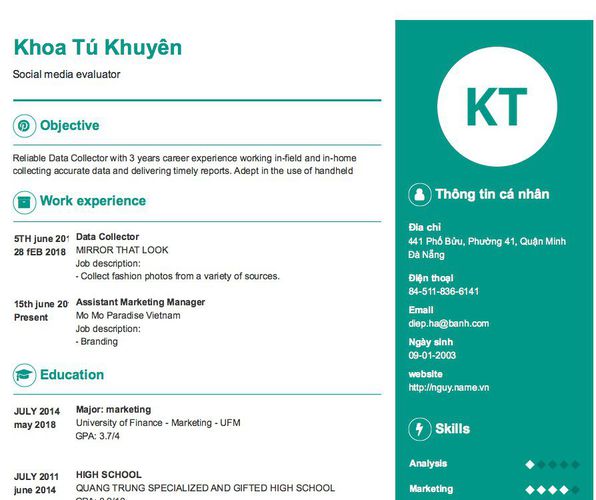 Mẫu CV Social media evaluator