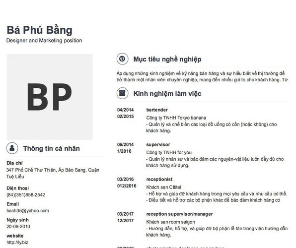 Mẫu CV Designer and Marketing position