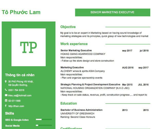 Mẫu CV SENIOR MARKETING EXECUTIVE