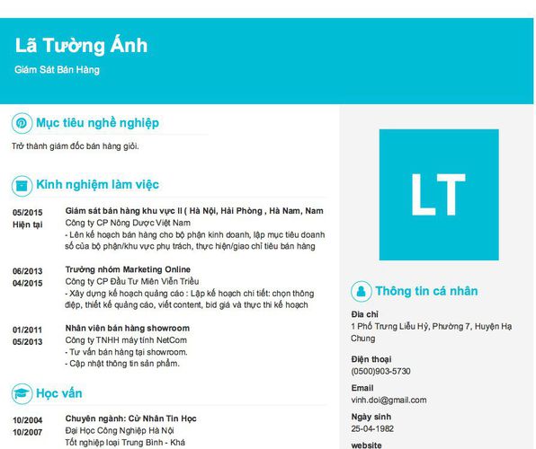 Mẫu CV Giám Sát Bán Hàng
