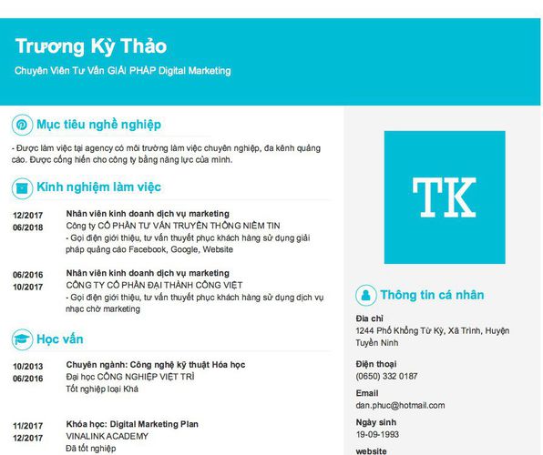 Mẫu CV Chuyên Viên Tư Vấn GIẢI PHÁP Digital Marketing