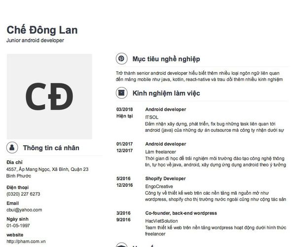 Mẫu CV Junior android developer