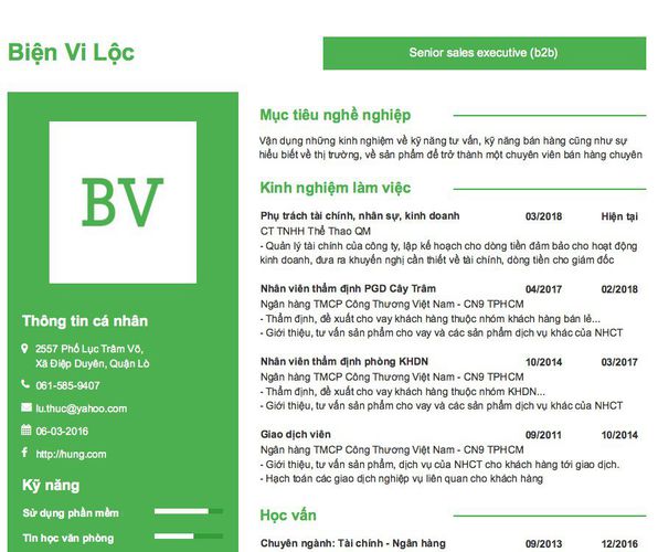 Mẫu CV Senior sales executive (b2b)