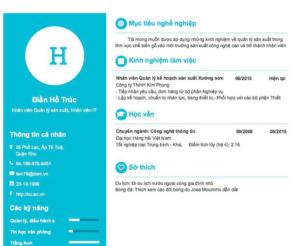 Mẫu CV Nhân viên Quản lý sản xuất, Nhân viên IT