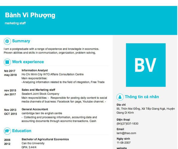 Mẫu CV marketing staff