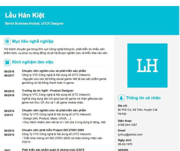 Mẫu CV Senior Business Analyst, UI/UX Designer