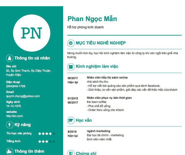 Mẫu CV Hỗ trợ phòng kinh doanh