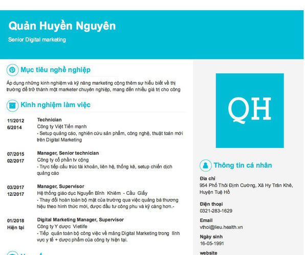 Mẫu CV Senior Digital marketing