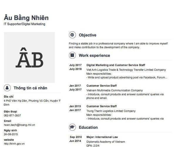 Mẫu CV IT Supporter/Digital Marketing