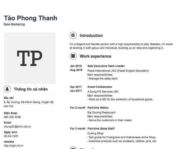 Mẫu CV Sale Marketing