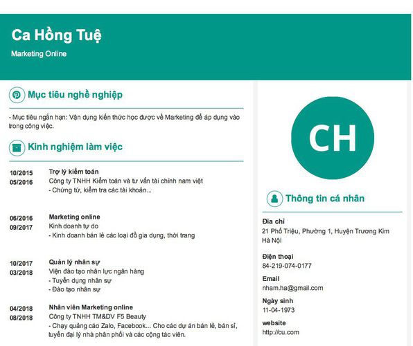 Mẫu CV Marketing Online